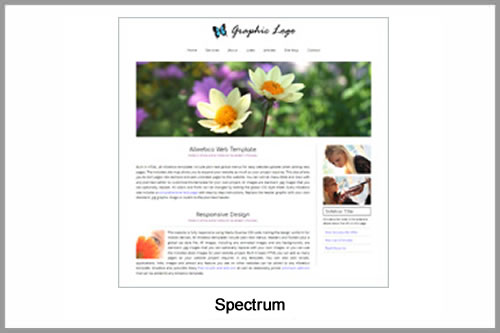 Spectrum Responsive Template
